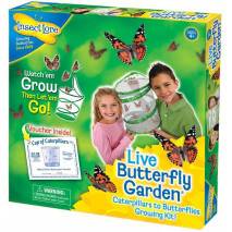 InsectLore Motýlí zahrádka (3-5 housenek) - Butterfly Garden