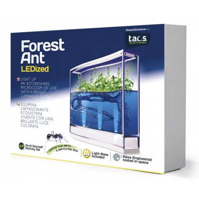 Forest Ant LEDized Antquarium